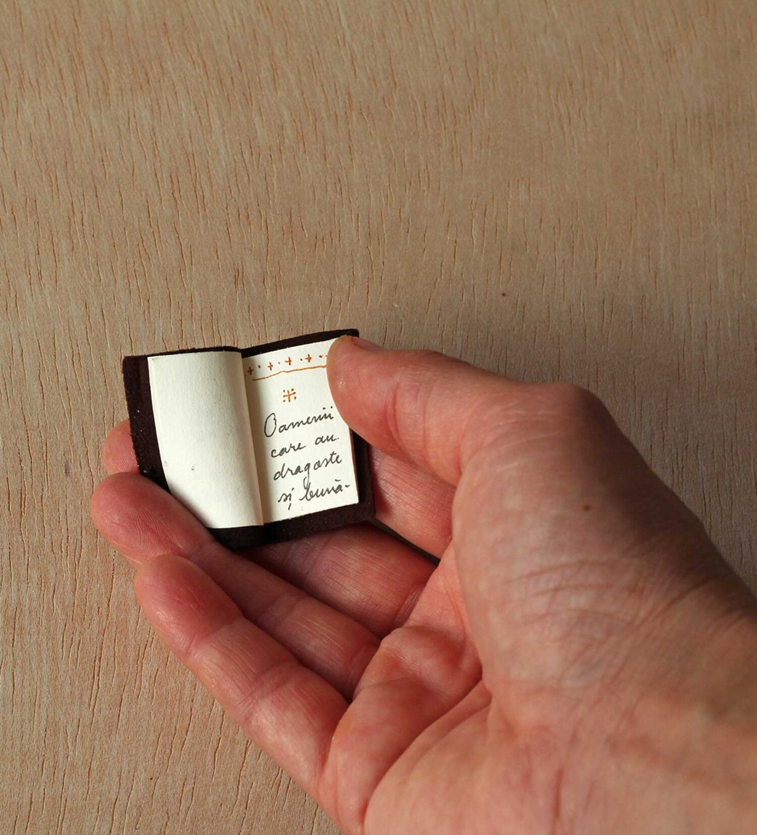 Carte mica despre bunatate 2 Carte mica despre bunatate 2