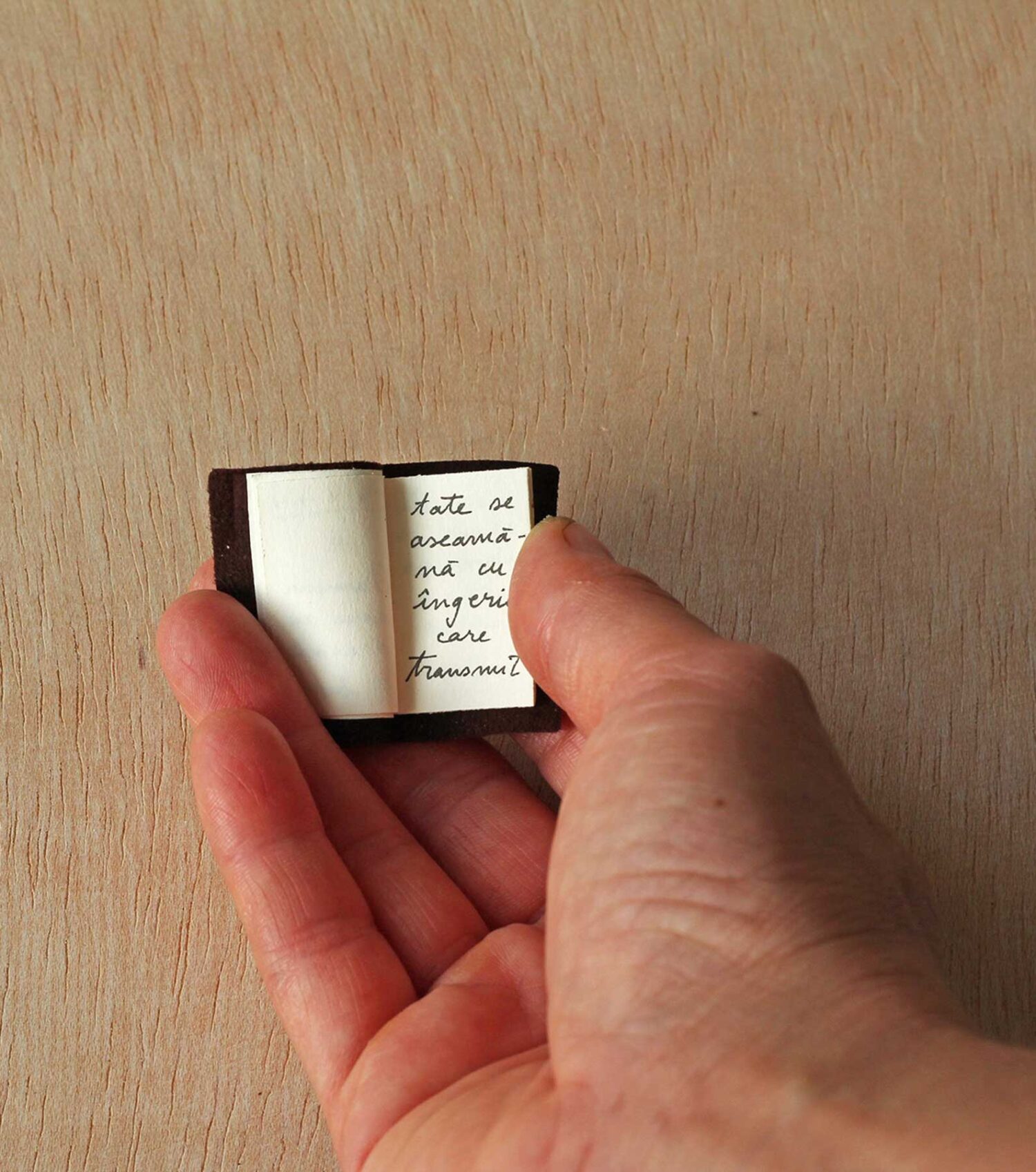 Carte mica despre bunatate 3