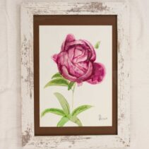 Tablou cu flori original bujor 01