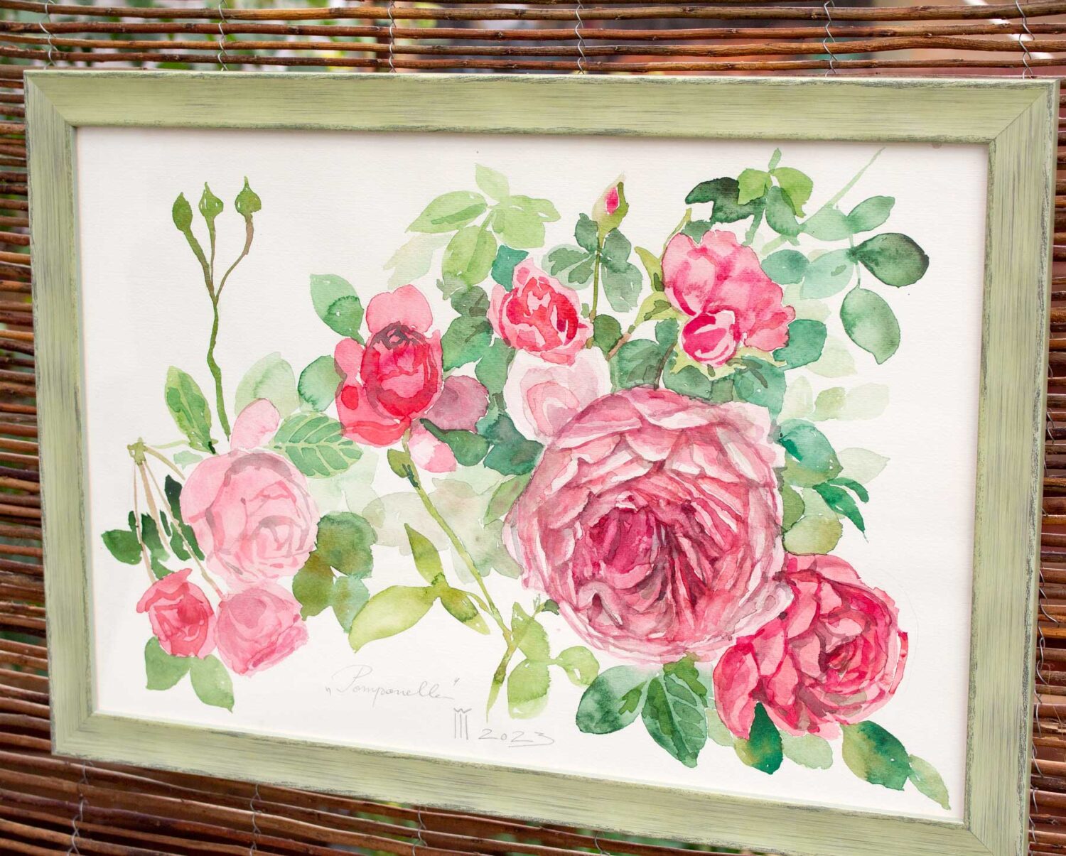 Pomponella 04 Pomponella 04