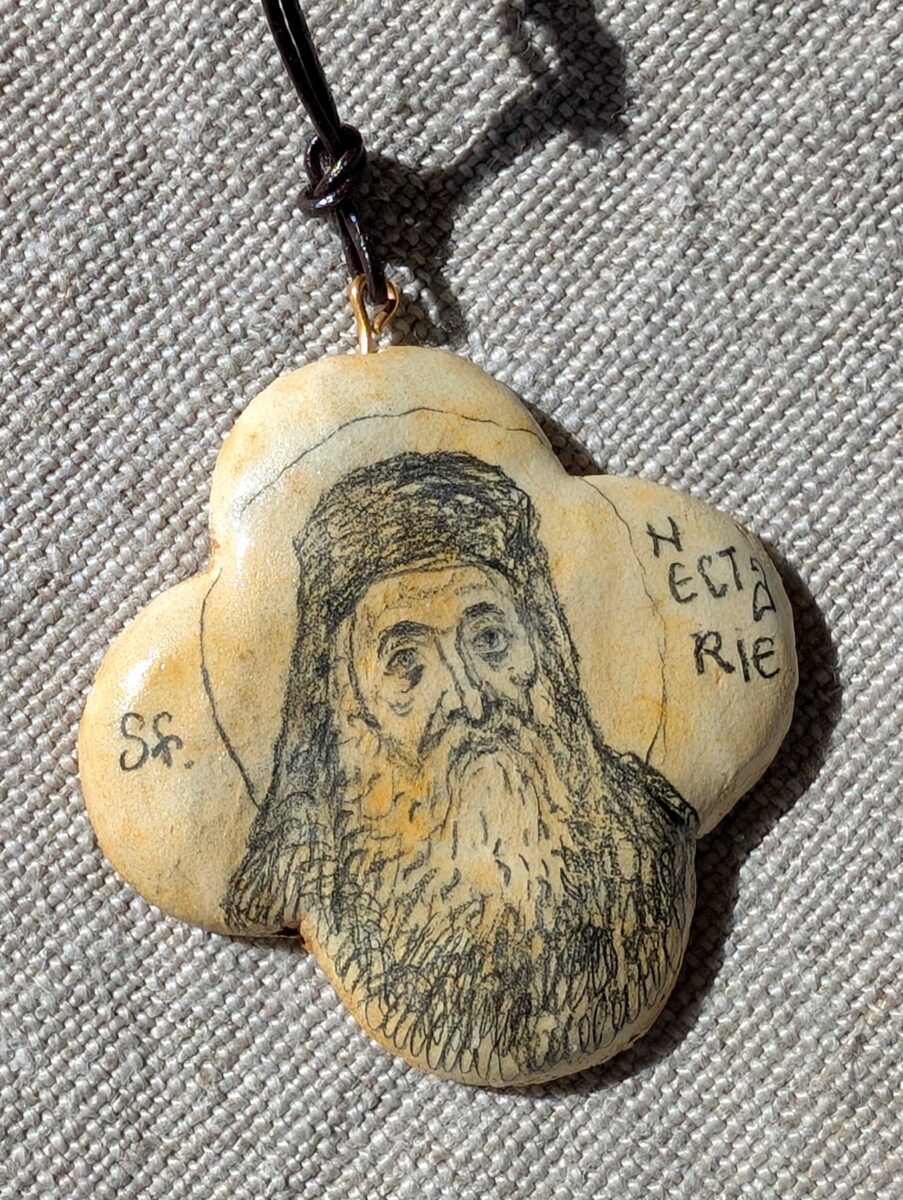 Cruciulita pictata sf. nectarie. 02