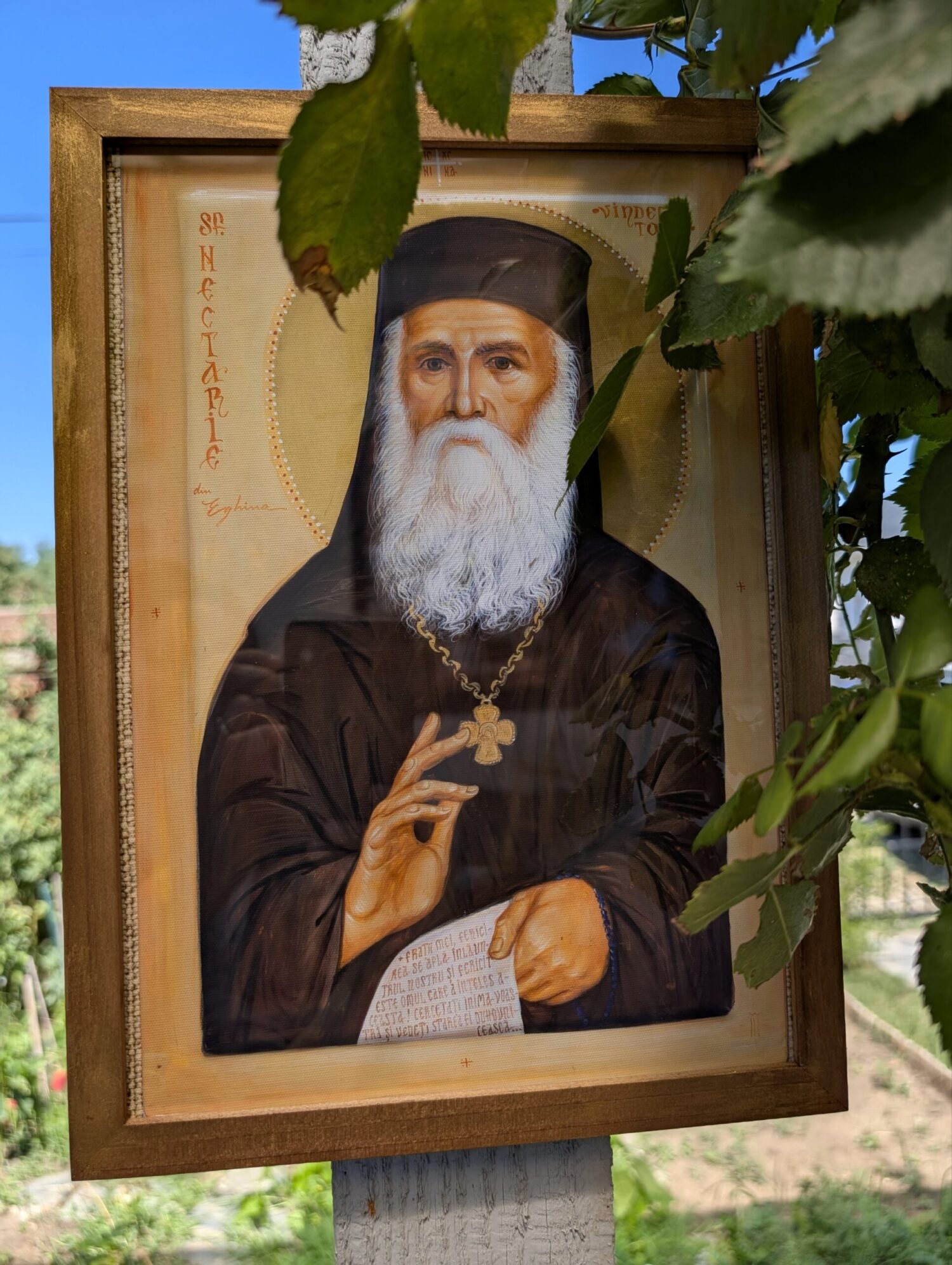 2025/08/1000039856.jpg 1000039856