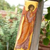 Inger pazitor doaga4