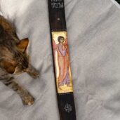 Inger pazitor doaga5