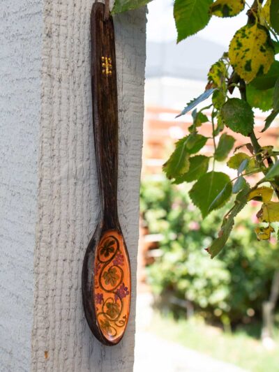 Lingura pictata1 Lingura pictata1