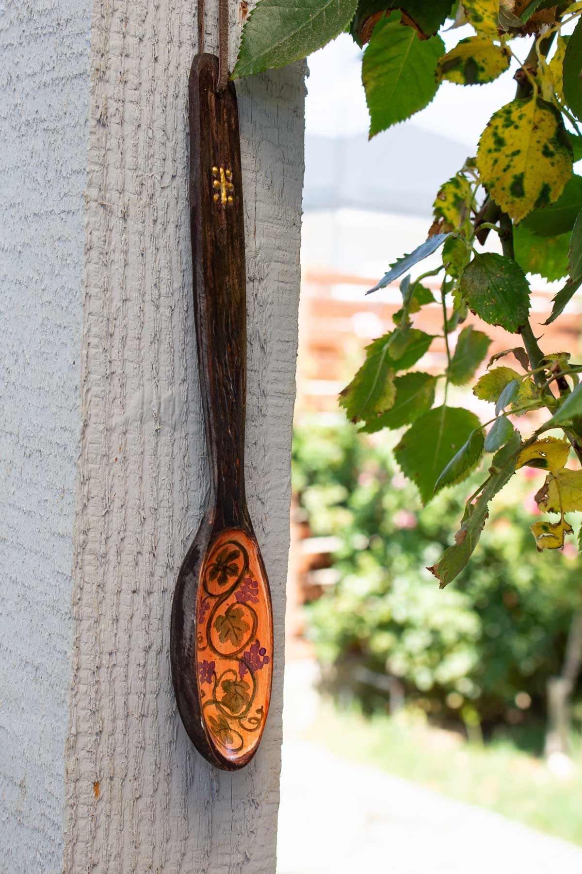 Lingura pictata1 Lingura pictata1