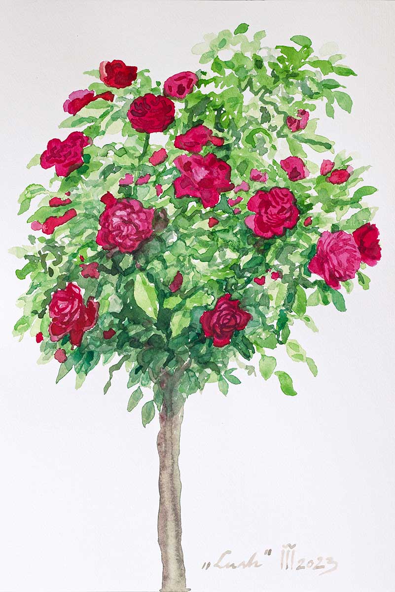 Lush 46 cu 31 cm pret 1000 ron 1 1