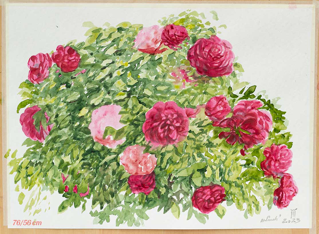 Lush 76 cu 56 cm pret 2600 ron 1