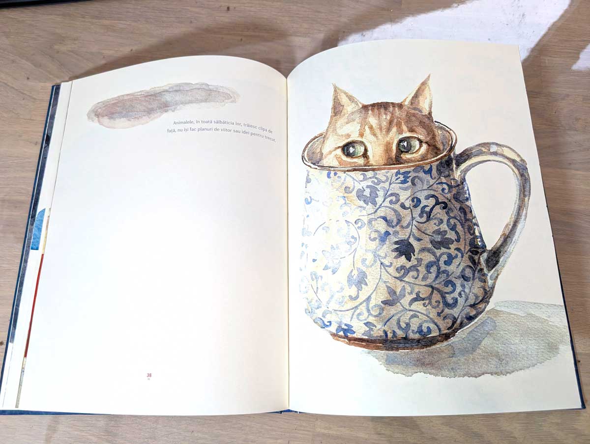 Maria mateescu artist 22