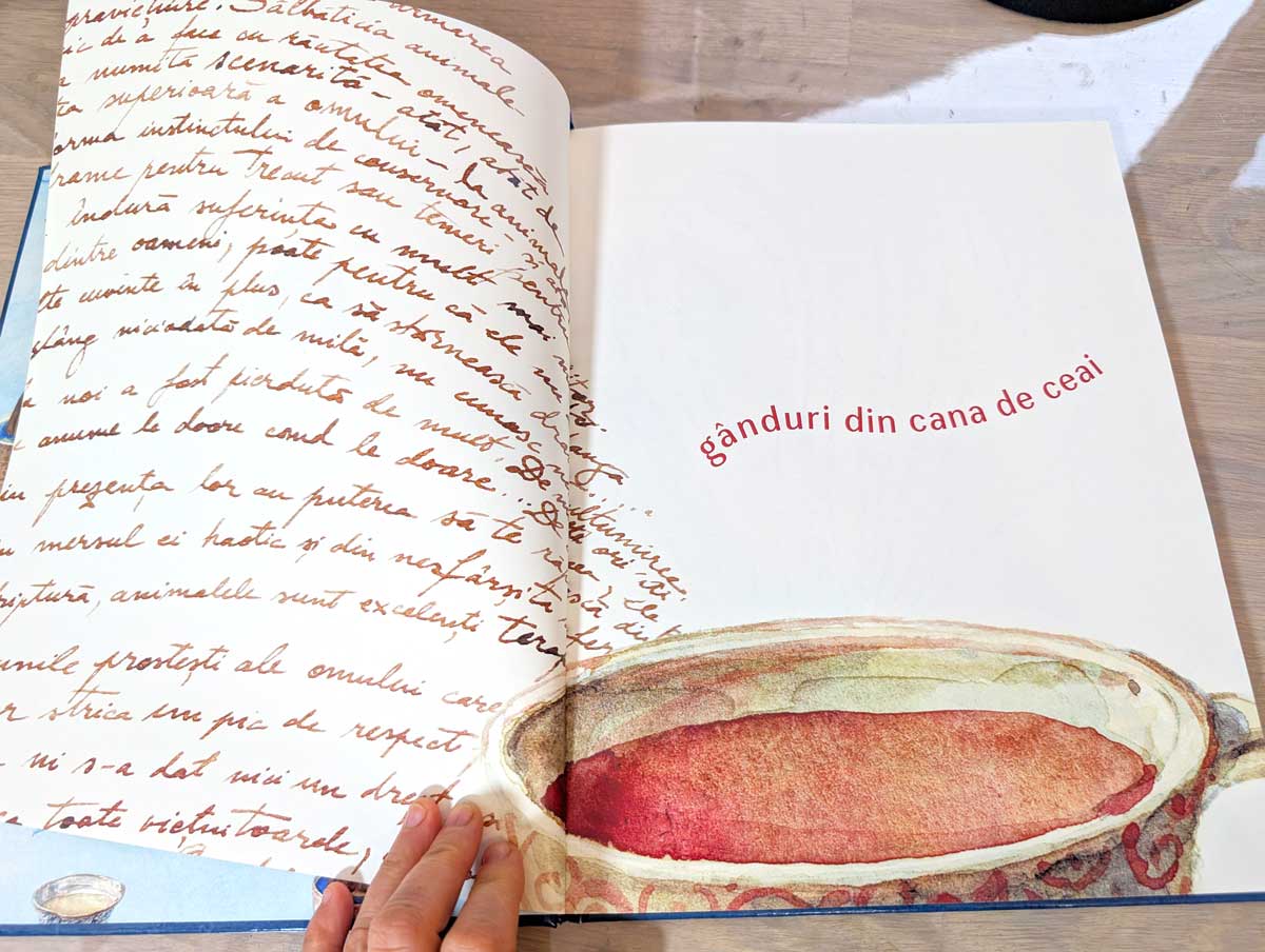 Maria mateescu artist 8