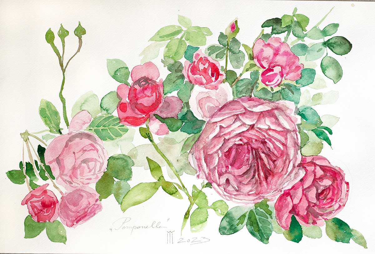 Pomponella 46 cu 31 cm pret 1300 