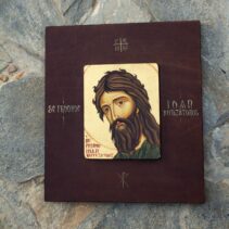 Sf.ioan botez piele2