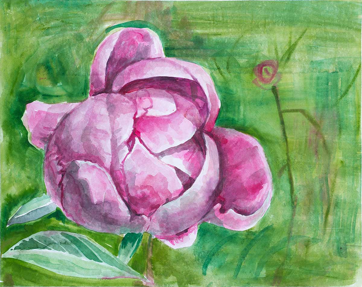 Bujor roz mare 76 cu 56 cm pret 1600 ron