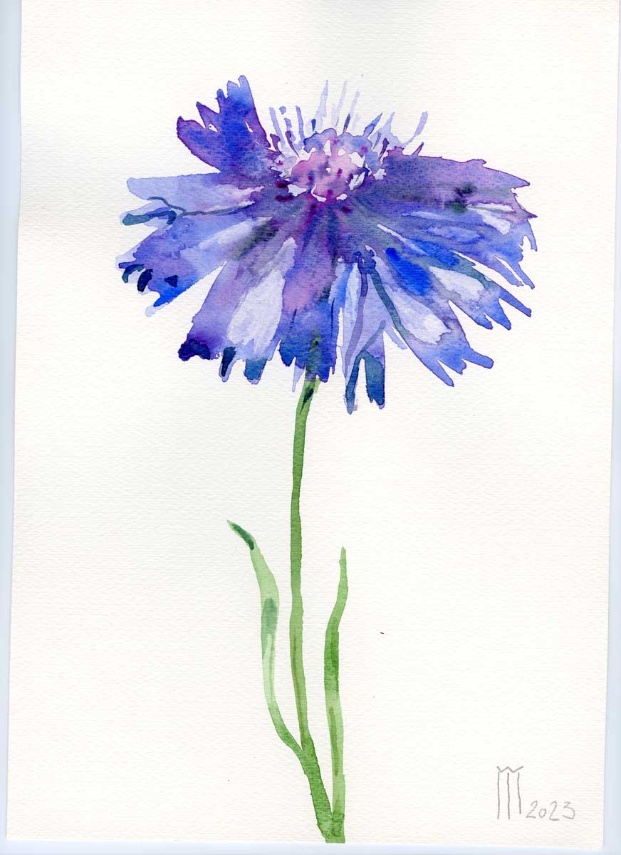 Img20240213 14281551