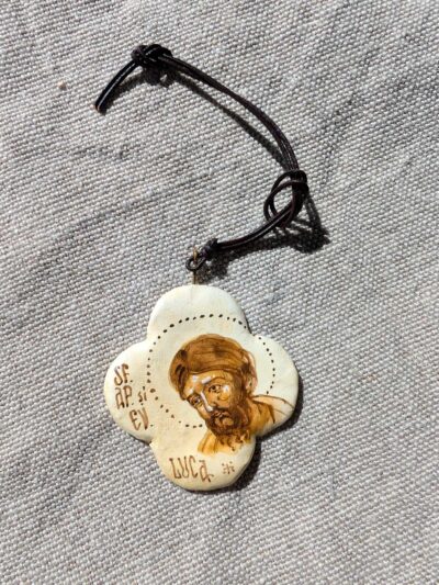 Cruciulita pictata sf.ap . luca. 01 Cruciulita pictata sf.ap . luca. 01